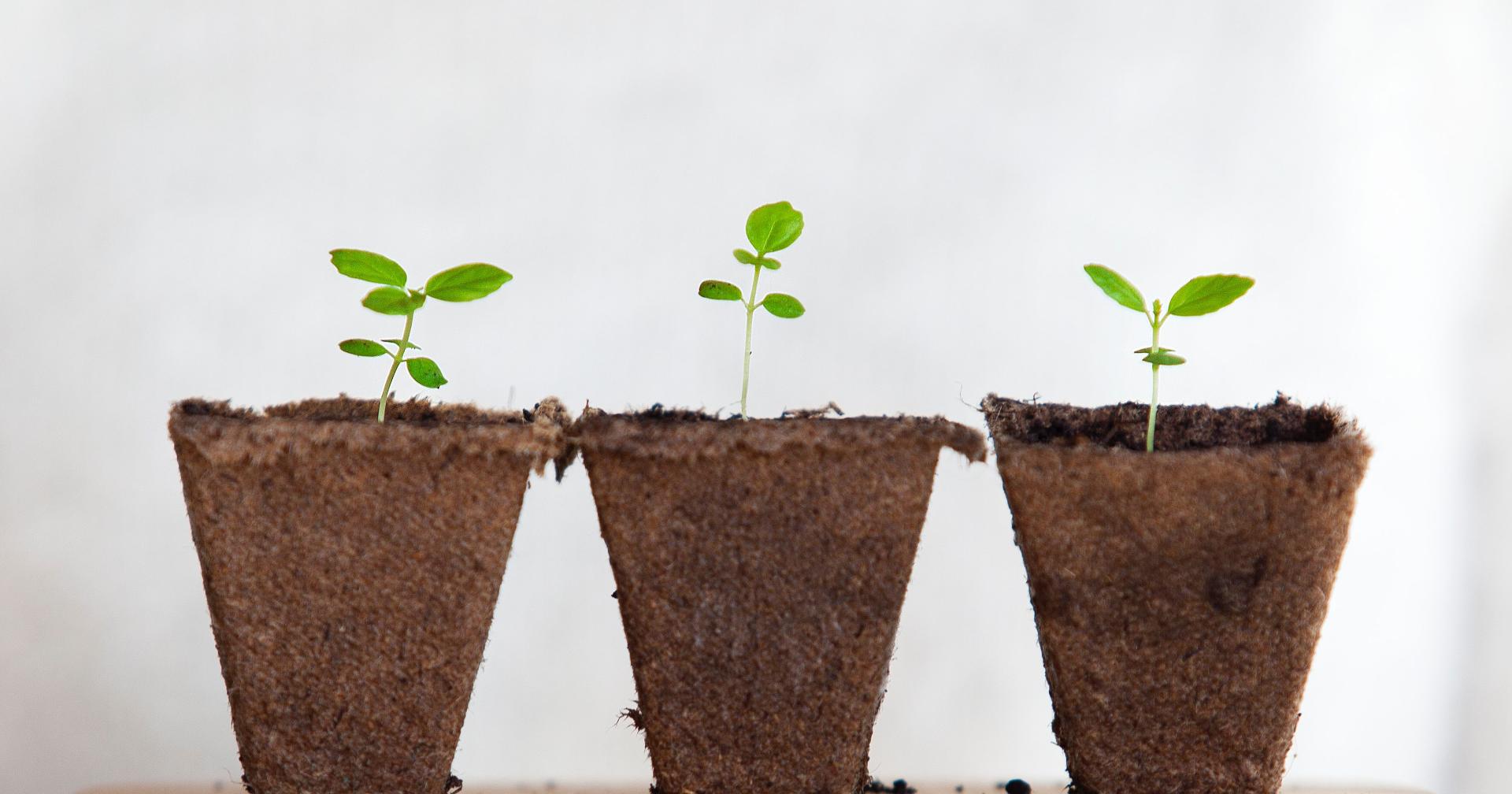 6 beneficios de comprar en el pozo