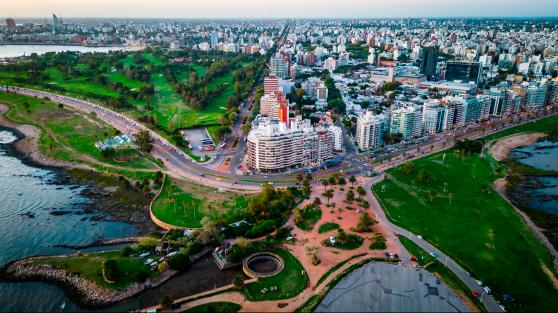 Primer panorama del mercado inmobiliario 2024: tendencias de búsqueda y principales indicadores.