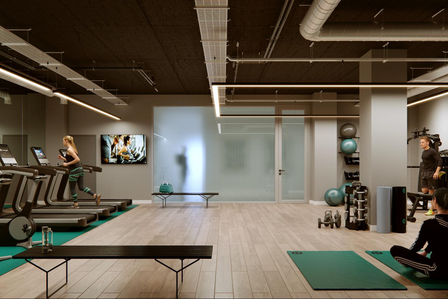 Image 5